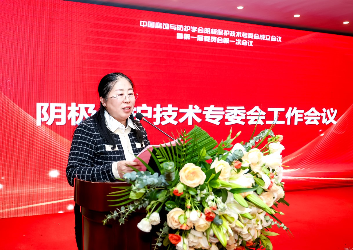 阴保10.jpg